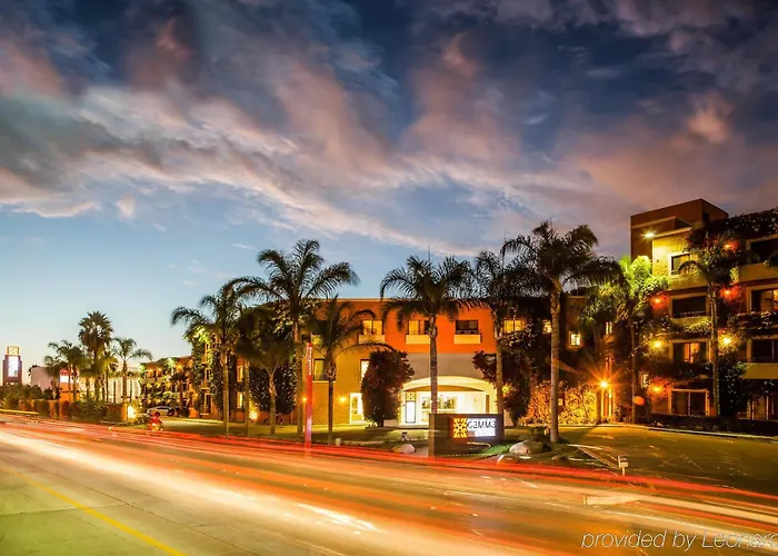 Gamma Tijuana